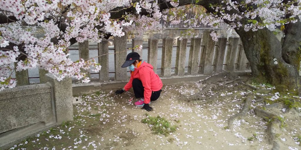 【2022年4月3日(日)】大宮神社清掃奉仕ボランティア活動風景写真 3